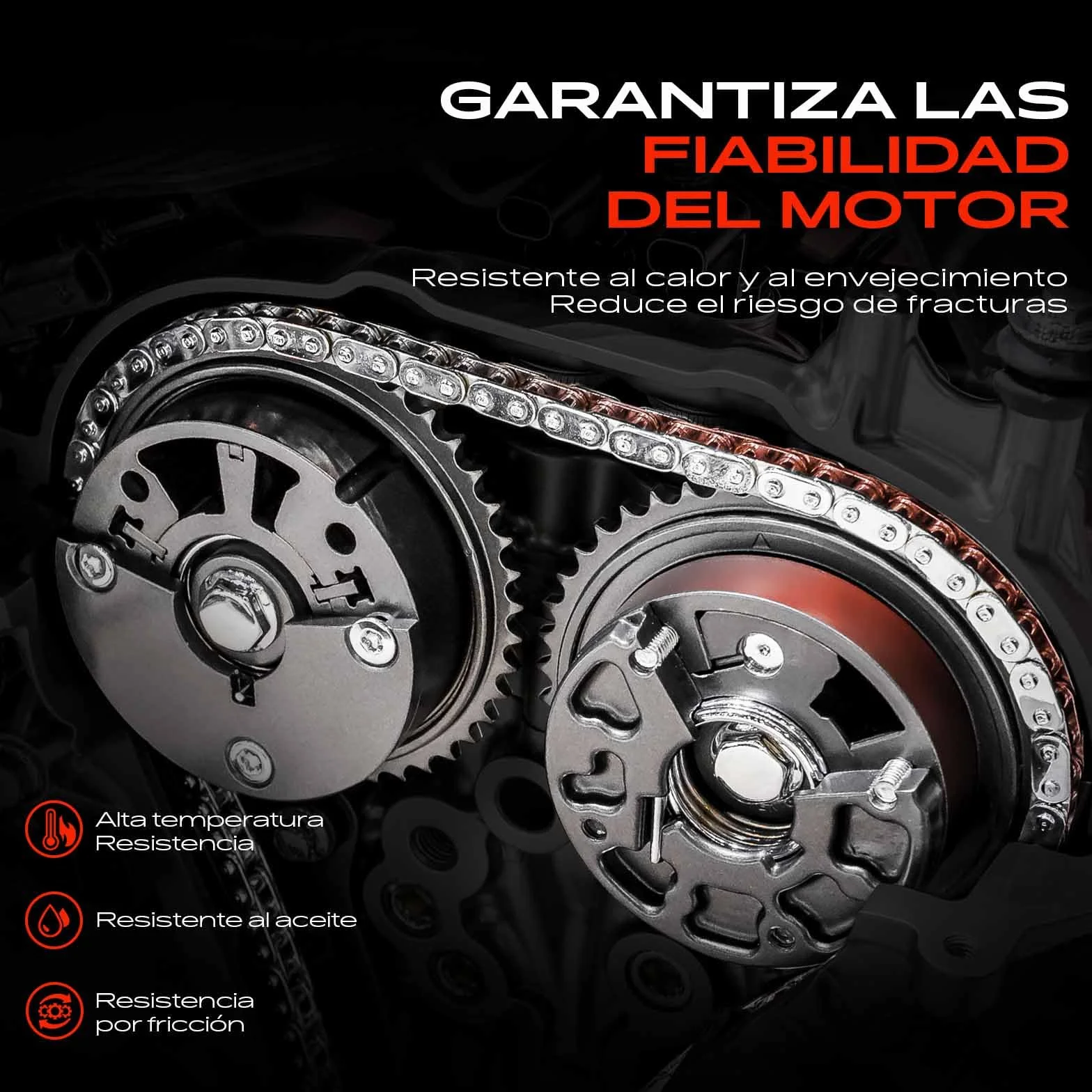 Frankberg Kit de cadena de distribución 504084528